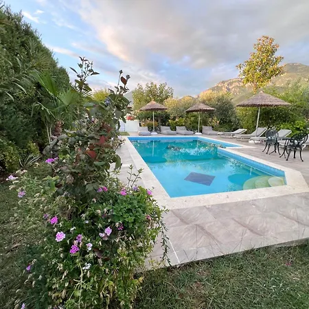 Luxury - Dar Al Shams 01 Villa Tirana