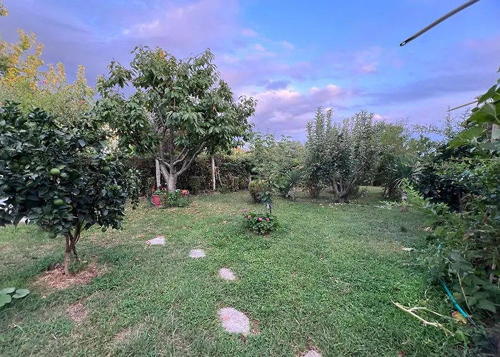 Luxury - Dar Al Shams 01 * Τίρανα